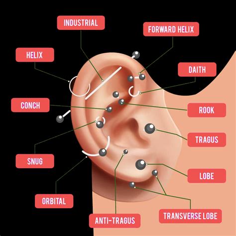 piercing vagina|A Full Guide To Vagina Piercings: Risks, Benefits,。